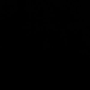 Meet your Posher, Harrison